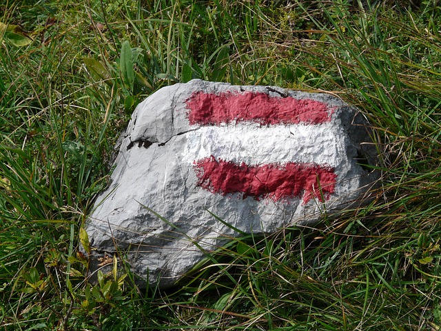 flag austria on a stone